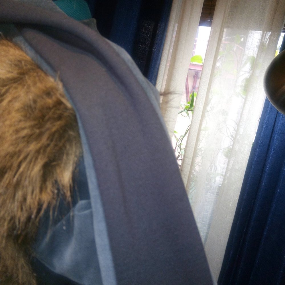 Twelfth Street by Cynthia Vincent Faux Fur Front and Genuine Suede Jacket Sz 6 - Picture 9 of 16